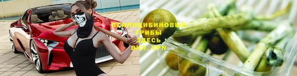 эйфоретик Алексин