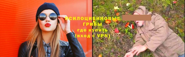 PSILOCYBIN Абаза