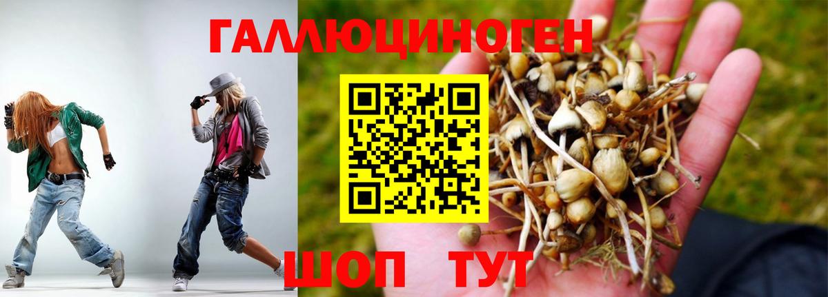 Кызыл  Псилоцибиновые грибы MAGIC MUSHROOMS  Галлюциногенные грибы мухоморы  Вход с VPN 